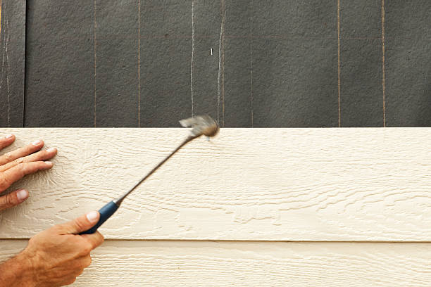 Best Vinyl Siding Installation  in Derby, KS